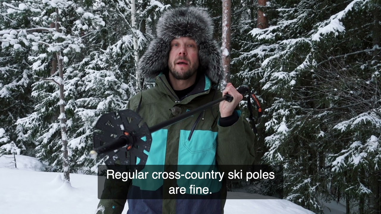 Explore Wintry Nuuksio National Park by Snowshoeing