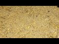 Delicious Bhunea Hua Chano Ki Panjiri Recipe By Cooking With Arfan Delicious Bhunea Hua Chano Ki Panjiri Recipe By Cooking With Arfan