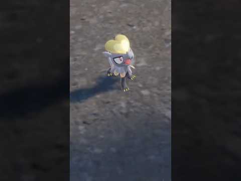 How To Catch Jangmo O In Pokemon Scarlet Violet The Teal Mask Shorts
