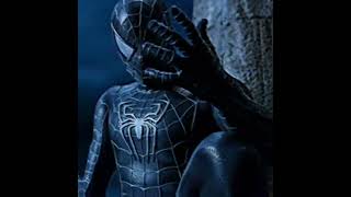 Spider Man Edit