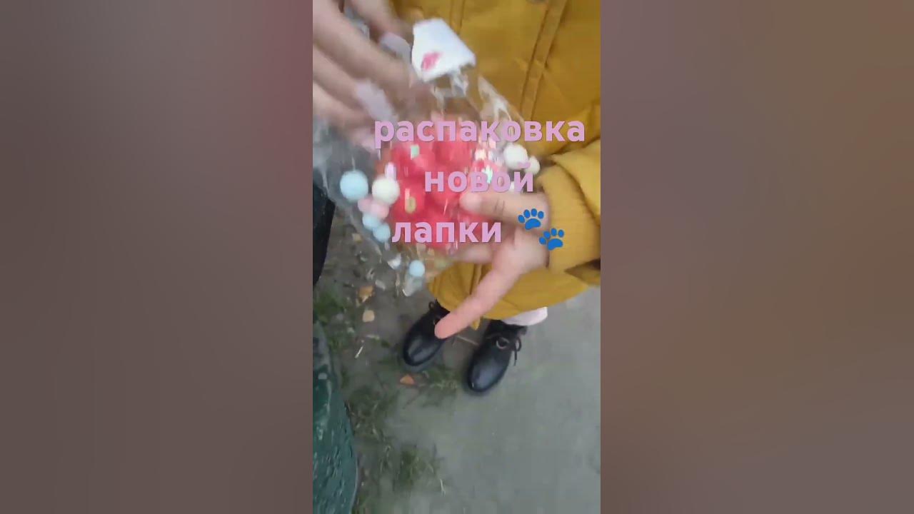 skvirt9393 лапка новая🐾🩷 - YouTube