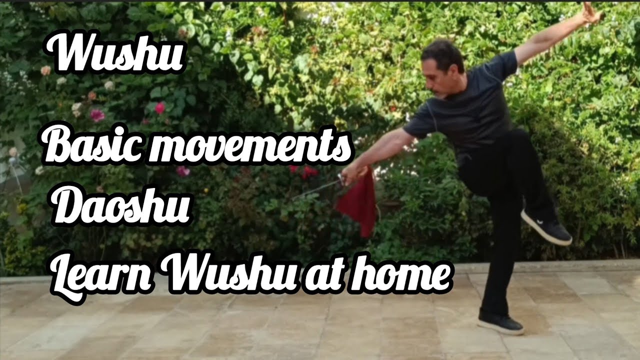 اموزش  پایه دائوشو در خانه برای مبتدیان Teaching basic Dao Shu movements for beginners at home