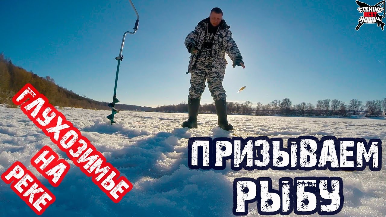Клев на оке сегодня