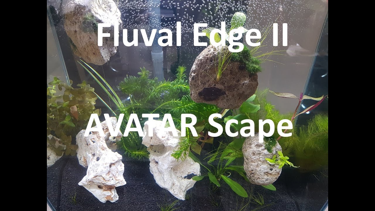 Fluval Edge Ii Avatar Aquascaping Youtube