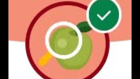 Use Relationships and Affiliations to Build a Network || EDA Reports || Challenge 3