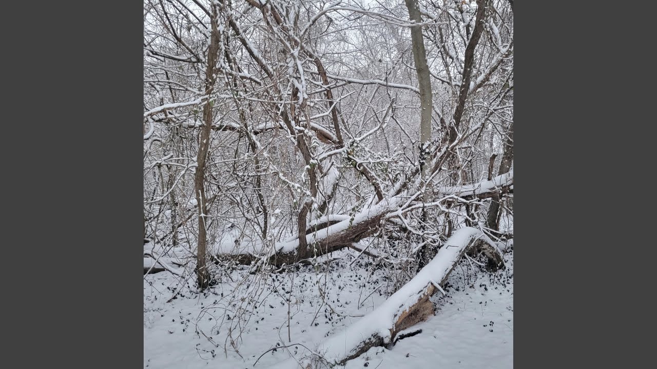 Southern Snowfall (loopable)