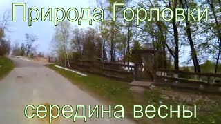 Видео Природа Горловки - середина весны (автор: Государев Буерак)