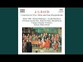 Miniature de la vidéo de la chanson Concerto For 2 Harpsichords In C Major, Bwv 1061: I. Allegro