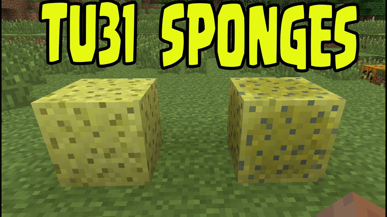 Minecraft PS3, PS4, Xbox, Wii U - NEW SPONGES - Title Update TU31 Wet