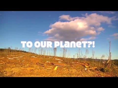 deforestation - sibbald valley, alberta, canada