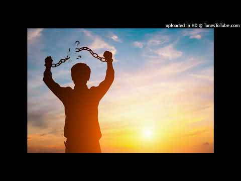 Joyous Music To Drop Out Of Uni Quit Job To