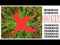 Crabgrass, Dallisgrass, Nutsedge, Poa. ID and Treatment Options