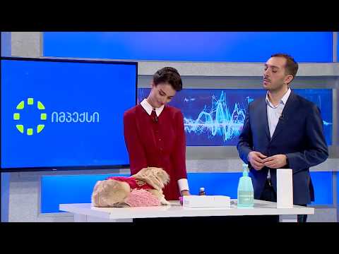 ვეტერინარი დავით ნანობაშვილი სტუმრად \"პანდემიაში\"