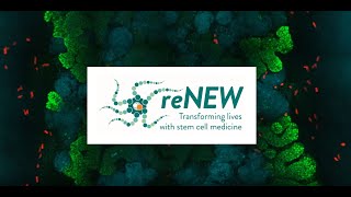 reNEW - The Novo Nordisk Foundation Center for Stem Cell Medicine