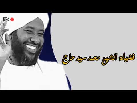 قصة الاثيوبي في قيام الليل الشيخ محمد سيد حاج رحمه الله عن شيخه كمال الدين الزنادي حفظه الله