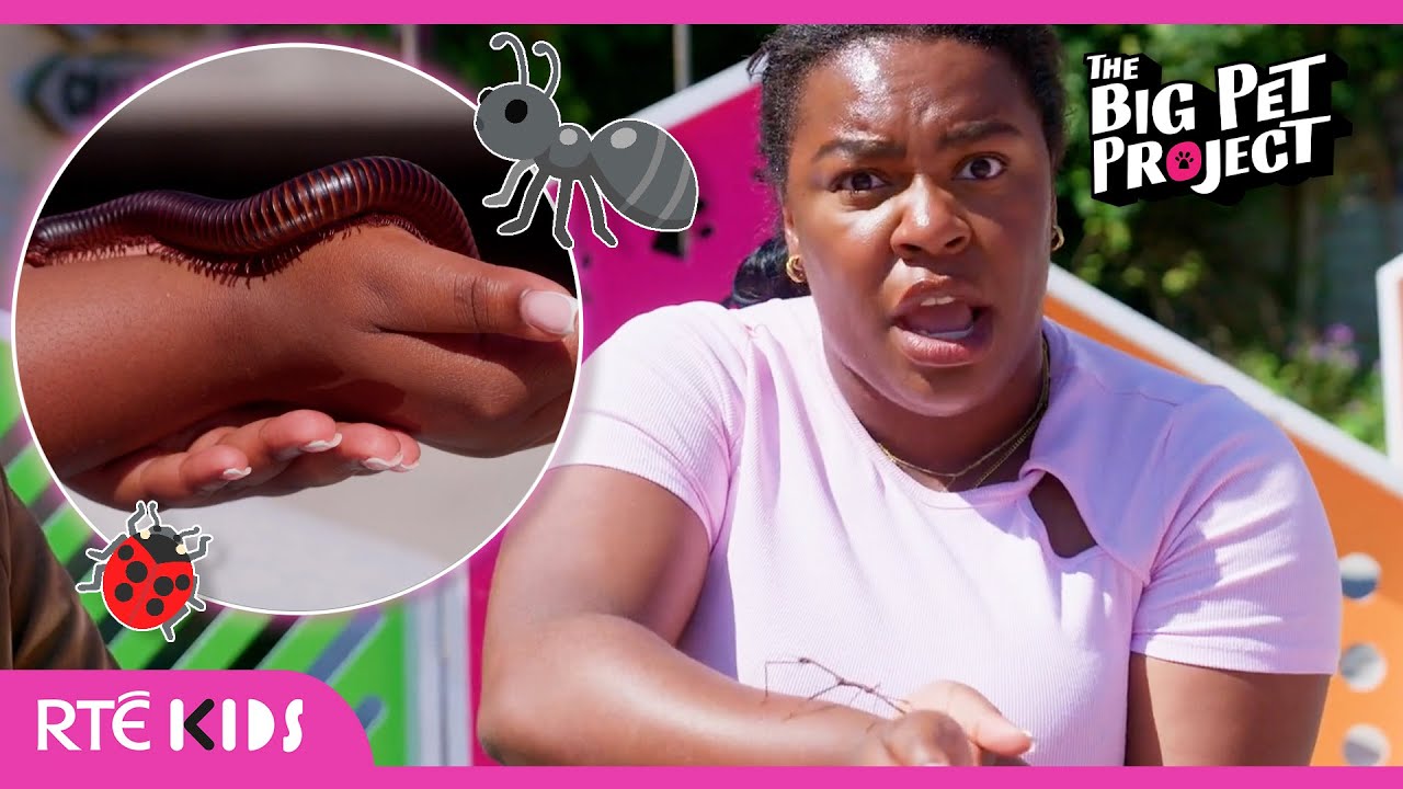 🐛🐜 BIG 🐞BEAUTIFUL🐞 BUGS! 🐛🐜 | The Big Pet Project | 