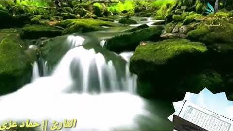 تلاوة رائعة جدا // بصوت الشيخ القارئ  || حماد عزي  [حفظه الله تعالى ]