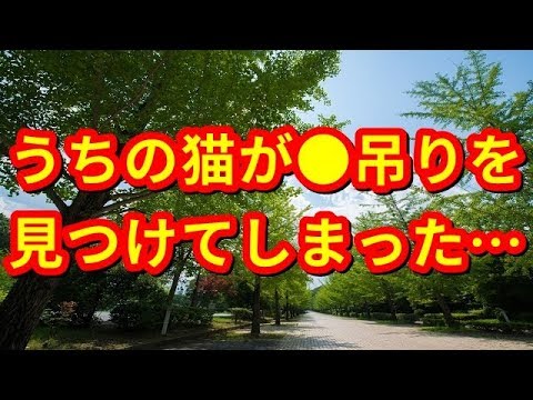 【修羅場】うちの猫が●吊りを見つけてしまった・・・【修羅場の道】