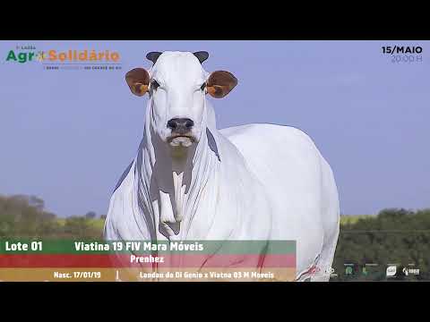 Lote 01   Viatina 19 FIV Mara Moveis   MARA 1491