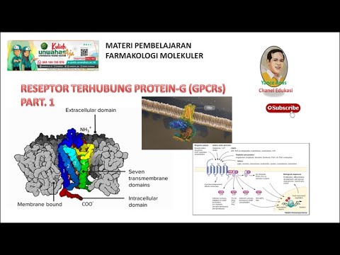 Video: Apa singkatan dari g di gpcr?