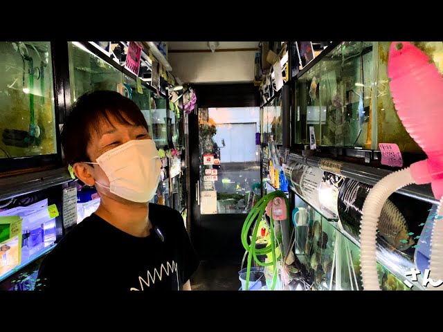 RAW LIFE FACTORY/地蔵/SEEWEED RAW LIFE FACTORY 第2回作品一覧 - peaceandafter