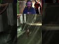 🔴God of War: Ghost of Sparta - Kratos Mestre dos Parries: Defesa Impecável! #shorts #godofwar 🔴