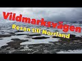 Husbilsresa till Norrland 2020, Vildmarksvägen Vilhelmina Stekenjokk DEL 3 | varahusbilsresor.se