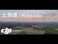 DJI MINI 3 Pro / Biei in Hokkaido / Filmora 11