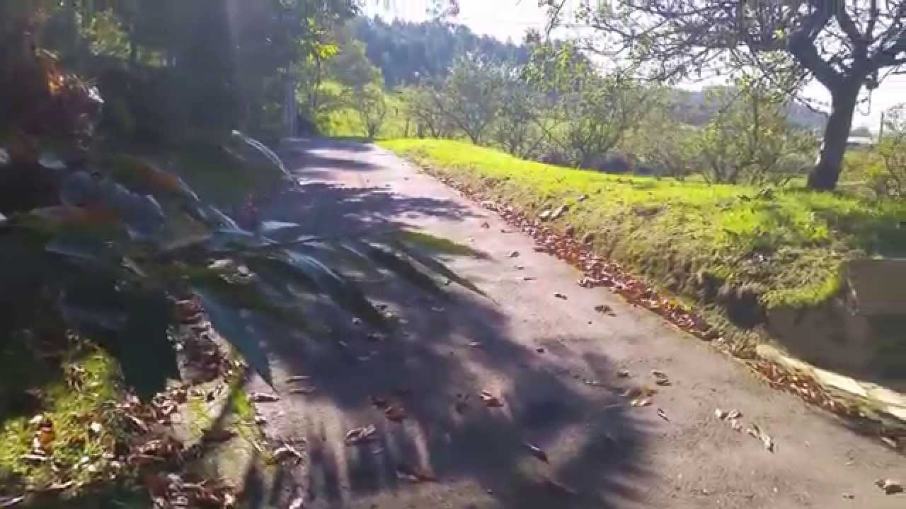 Autumn in Asturias, Zanzabornín.
