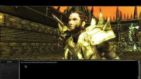 Divinity II: Developer