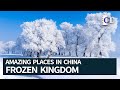 Frozen Kingdom of Ice Flowers | Amazing Places in China