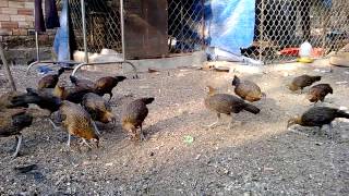WP 20140318 003