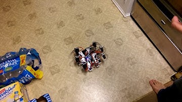 Hexapod robot