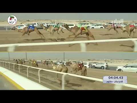 الشوط 7 انذار ل علي غانم سعيد الخيارين 7 34 78 ختامي الشحانية 2021 3 23 لقايا