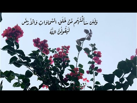 ما أجملها تلاوة هادئة ترقق القلوب عطر مسامعك وأرح قلبك