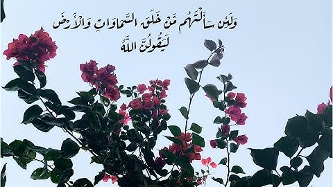 ما أجملها تلاوة هادئة ترقق القلوب عطر مسامعك وأرح قلبك