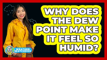 Why Does The Dew Point Make It Feel So Humid? - Weather Watchdog