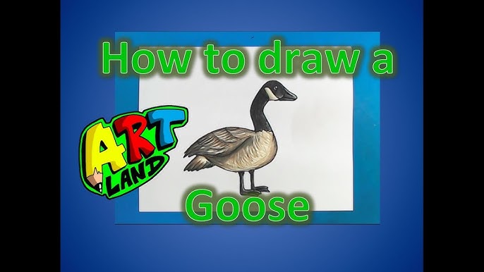 How to DRAW a GOOSE Easy Step by Step - YouTube