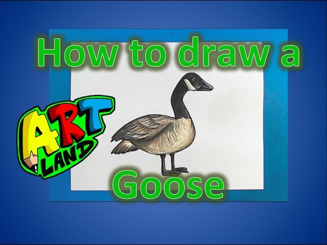 How to Draw a Goose 
