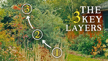 Productive FOOD FORESTS Made Simple (Just 3 Layers)
