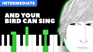 And Your Bird Can Sing - The Beatles | PIANO Tutorial | Learn to Play Piano