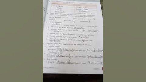 CLASS 4   MAY   SST   copy work  lecture 2 part A