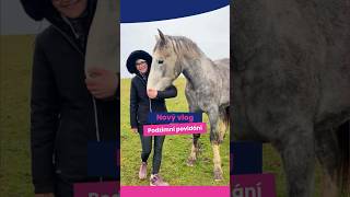 Podzim u koní a co dělat? 🐎 Podzim u koní a co dělat? 🐎