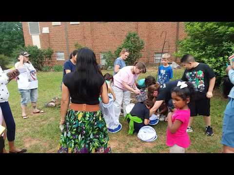 Butterfly Release at Albert Harris Elementary School