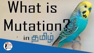 Clearly Explained What Is Mutation In Tamil || Farm Update