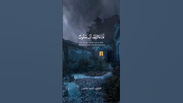 فَدَعَا رَبَّهُ أَنِّي مَغْلُوبٌ فَانتَصِر  سورة القمر #أحمد_النفيس#quran#explore#صدقة#أجر#سورة#قرآن