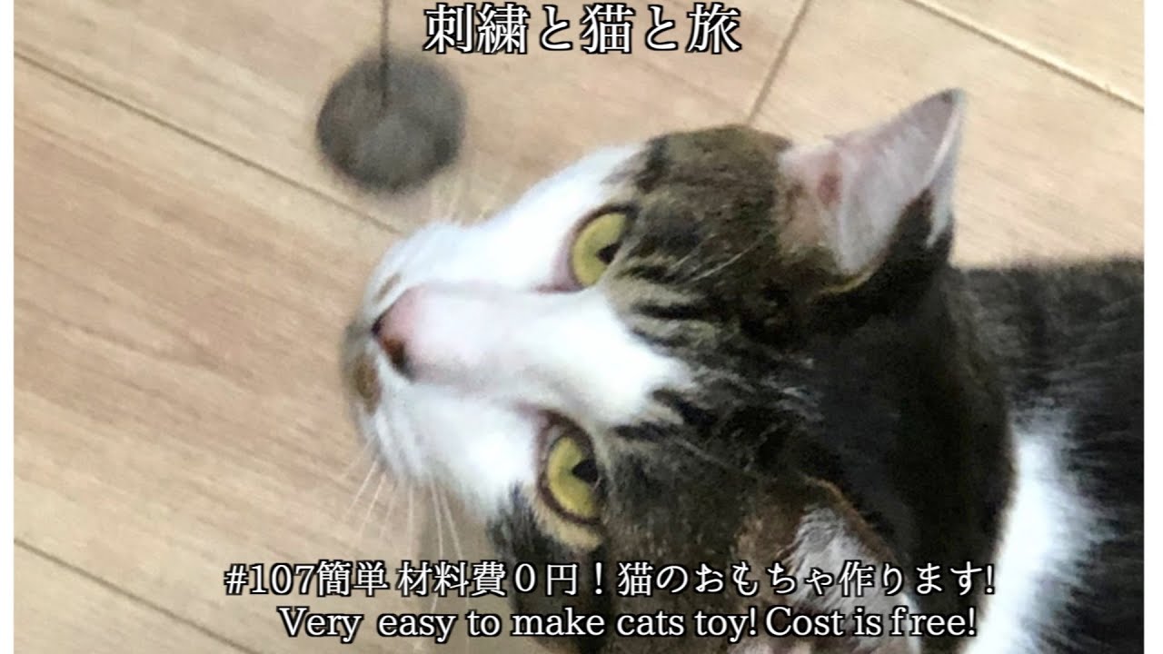 猫 Cat 簡単材料費０円 猫のおもちゃの作り方 Very Easy How To Make Cat S Toy Cost Is Free 108 Youtube