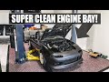 Little Sister's Miata Build: SUPER CLEANING the Engine Bay!