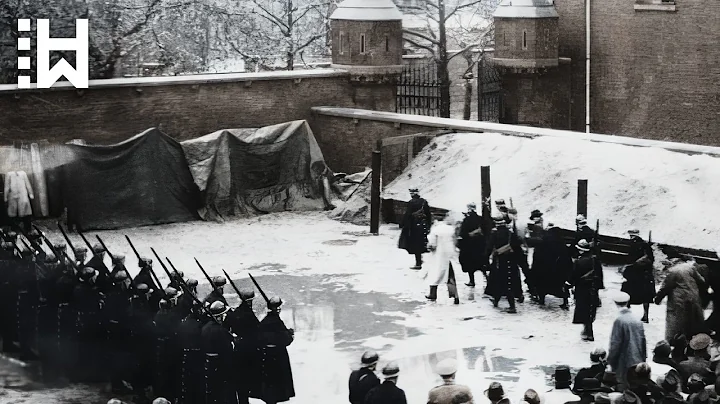 Execution of 27 Nazis who Killed Belgian Women: Hard to Watch