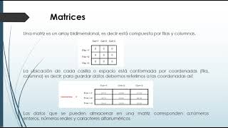 Resumen sobre vectores y matrices en Algoritmos